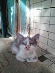     
: 120282381_3404662799594391_3593090866482578217_n.jpg
: 16
:	135.4 
ID:	13406766