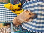    
: IMG_20200914_174436.jpg
: 28
:	237.9 
ID:	13406769