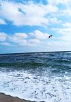     
: IMG_20201004_115656.jpg
: 25
:	98.7 
ID:	13407658