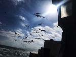     
: C8DB5462-67F4-4A3F-A6C9-D383C45D91C0.jpg
: 30
:	61.0 
ID:	13408379