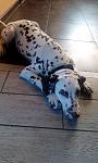     
: IMG_20200912_122258.jpg
: 38
:	69.0 
ID:	13408544