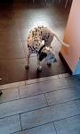     
: IMG_20200912_122145.jpg
: 32
:	66.2 
ID:	13408545