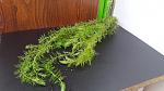     
: 20201003_150654.jpg
: 13
:	152.8 
ID:	13409070