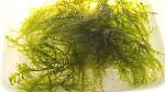     
: 20201003_154404.jpg
: 16
:	127.9 
ID:	13409073