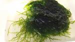     
: 20201003_155113.jpg
: 12
:	94.2 
ID:	13409074