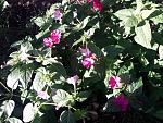     
: 20201003_081328.jpg
: 8
:	219.4 
ID:	13409721