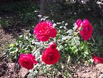     
: 20201004_143901.jpg
: 9
:	234.1 
ID:	13409722