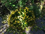     
: 20201004_144018.jpg
: 9
:	252.9 
ID:	13409723
