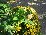     
: 20201004_144130.jpg
: 9
:	163.9 
ID:	13409724
