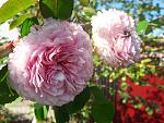     
: 20201004_144321.jpg
: 9
:	135.6 
ID:	13409725