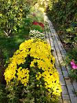     
: IMG_20201011_101509.jpg
: 6
:	226.6 
ID:	13410584
