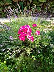     
: IMG_20201011_101611_1.jpg
: 7
:	252.8 
ID:	13410585