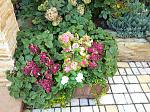     
: IMG_20201011_102043.jpg
: 6
:	301.5 
ID:	13410586