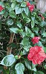     
: C8D122AD-88B1-474C-9956-A236B1D046F1.jpg
: 192
:	74.0 
ID:	13410977