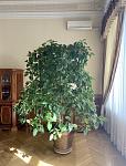     
: 9BA63402-9B46-4AF4-BF90-0FFF76DD3D85.jpg
: 196
:	70.2 
ID:	13410978
