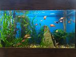    
: aqua1.jpg
: 65
:	133.3 
ID:	13410993