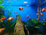     
: aqua2.jpg
: 60
:	112.9 
ID:	13410994