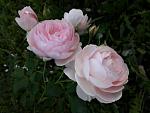     
: 20201009_181721.jpg
: 8
:	86.5 
ID:	13411300