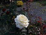     
: 20201011_085940.jpg
: 7
:	124.1 
ID:	13411302