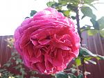     
: 20201011_090153.jpg
: 9
:	108.8 
ID:	13411303