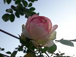     
: 20201011_092544.jpg
: 6
:	65.4 
ID:	13411306