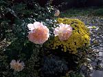     
: 20201011_093444.jpg
: 6
:	170.5 
ID:	13411308