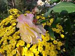     
: 20201011_093607.jpg
: 6
:	146.9 
ID:	13411309
