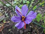     
: 20201009_181405.jpg
: 4
:	142.1 
ID:	13411311