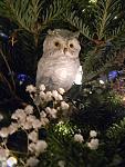     
: ca305848d465384ff7bb3528f0f35bd4.jpg
: 16
:	172.5 
ID:	13412226