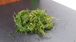     
: 20201013_102835.jpg
: 18
:	169.2 
ID:	13412776