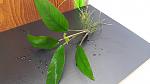     
: 20200621_183744.jpg
: 15
:	119.5 
ID:	13412777