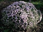     
: 20201017_095343.jpg
: 14
:	301.6 
ID:	13412873