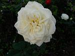     
: 20201017_094920.jpg
: 12
:	70.4 
ID:	13412877