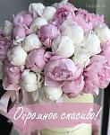     
: b16a2da9-968f-4b1b-81d7-33129df456d1.jpg
: 15
:	77.7 
ID:	13412913