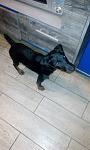     
: IMG_20201016_195443.jpg
: 39
:	62.5 
ID:	13413111
