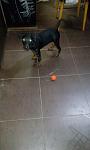     
: IMG_20201016_195514.jpg
: 38
:	56.9 
ID:	13413113