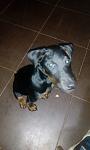     
: IMG_20201016_222940.jpg
: 36
:	58.6 
ID:	13413114