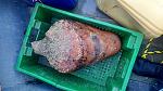     
: IMG_20201018_094816.jpg
: 56
:	151.1 
ID:	13413218
