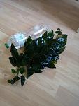     
: IMG_20201019_121437.jpg
: 63
:	68.7 
ID:	13413693