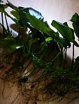     
: IMG_20201019_121450.jpg
: 69
:	90.4 
ID:	13413694