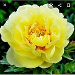     
: 2020-10-19 10.21.08.jpg
: 20
:	34.8 
ID:	13414466
