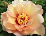    
: Polish_20201020_172441427.png
: 20
:	134.5 
ID:	13414467