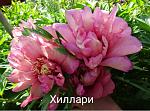     
: Polish_20201020_172255024.jpg
: 20
:	42.0 
ID:	13414468