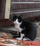     
: IMG_2359.jpg
: 8
:	113.7 
ID:	13414524