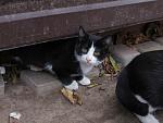     
: IMG_2345.jpg
: 8
:	118.0 
ID:	13414528