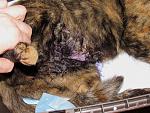     
: IMG_2456.jpg
: 8
:	247.4 
ID:	13414855