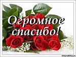     
: 3129390.jpg
: 33
:	57.6 
ID:	13415439