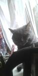     
: 20201027_093745.jpg
: 21
:	50.1 
ID:	13416744