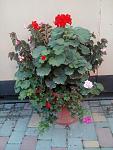     
: _viber_2020-10-29_16-26-42.jpg
: 23
:	114.8 
ID:	13417724