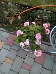     
: _viber_2020-10-29_16-25-44.jpg
: 18
:	106.6 
ID:	13417726
